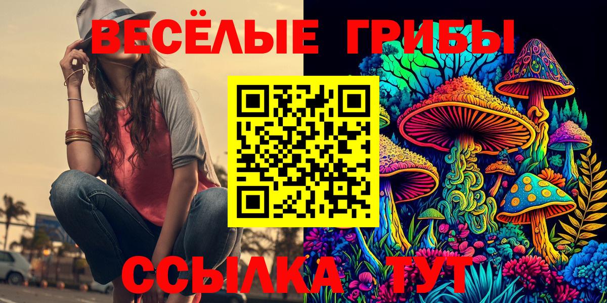 Черняховск  Псилоцибиновые грибы прущие грибы  Галлюциногенные грибы Psilocybine cubensis  Вход с VPN 