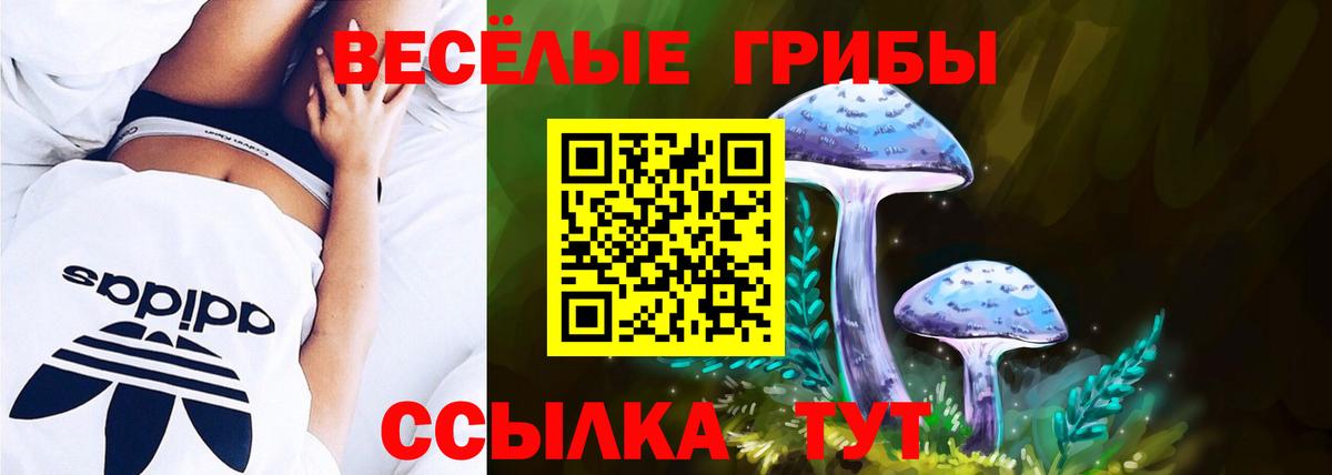 Галлюциногенные грибы MAGIC MUSHROOMS Черняховск